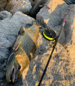 Fish on! Enjoying Oswego's Trout  fishing paradise